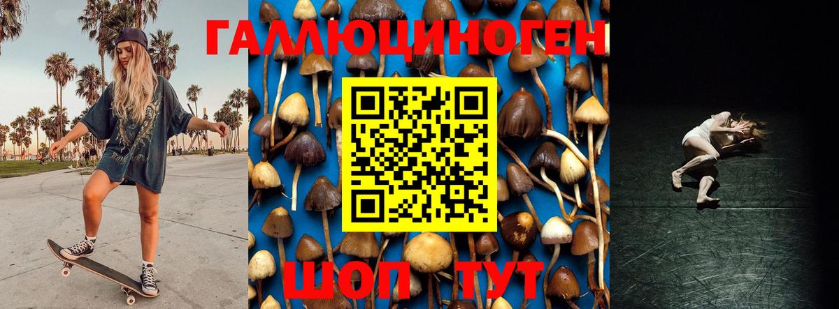 Псилоцибиновые грибы прущие грибы Тобольск