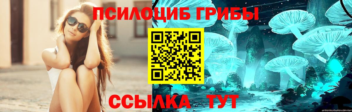 Тобольск  Псилоцибиновые грибы Cubensis  Вход с VPN  Псилоцибиновые грибы ЛСД 